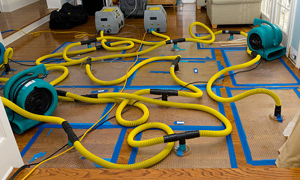 Professional Water Damage Restoration technician working in Hills, MN